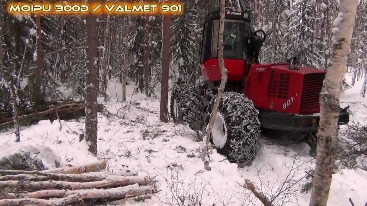 M300D-V901.mp4