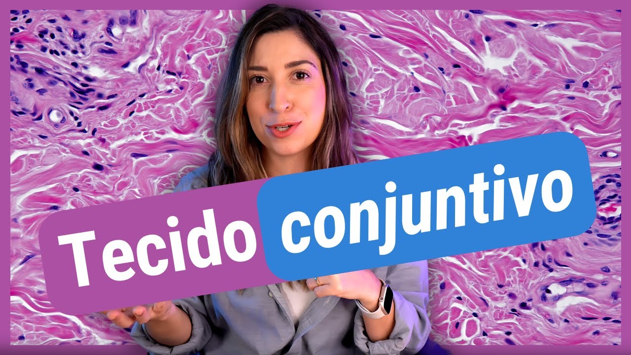 TECIDO CONJUNTIVO | Histologia