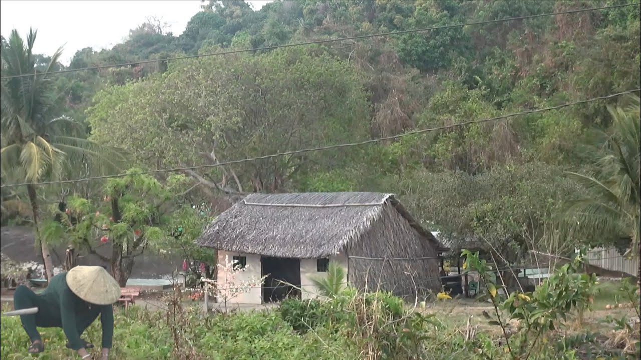 Nhà Lá Vùng Quê Dưới Chân Núi Vẻ Đẹp Tự Nhiên.