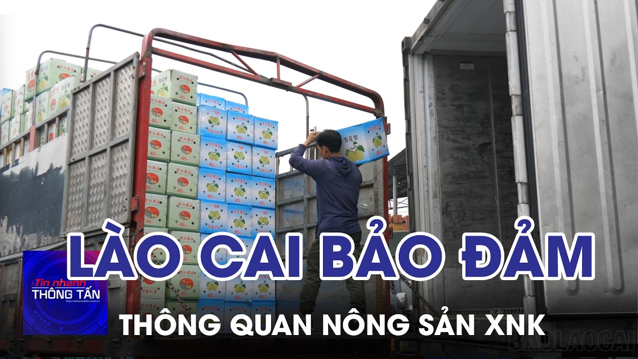 Lào Cai bảo đảm thông quan thuận lợi nông sản xuất nhập khẩu | Tin nhanh Thông tấn