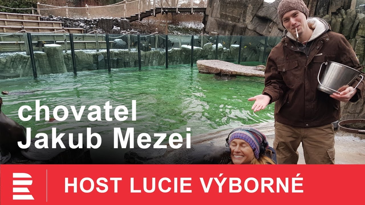 Jakub Mezei: V zoo je nyní lachtanům lépe než ve volné přírodě