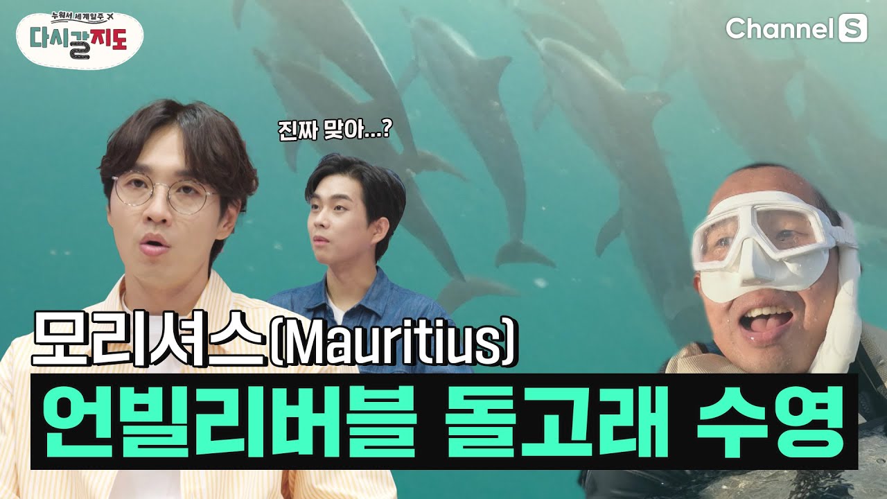 진짜 돌고래들이랑 수영을? 이거 3D 아니죠?? 언빌리버블 돌고래 수영 체험🐬 ㅣ73회ㅣ[#다시갈지도]✈