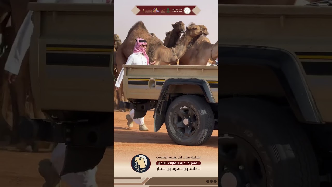 تغطيتنا لمسيرة نخبة سمارات منقية حامد بن سعود بن سمار