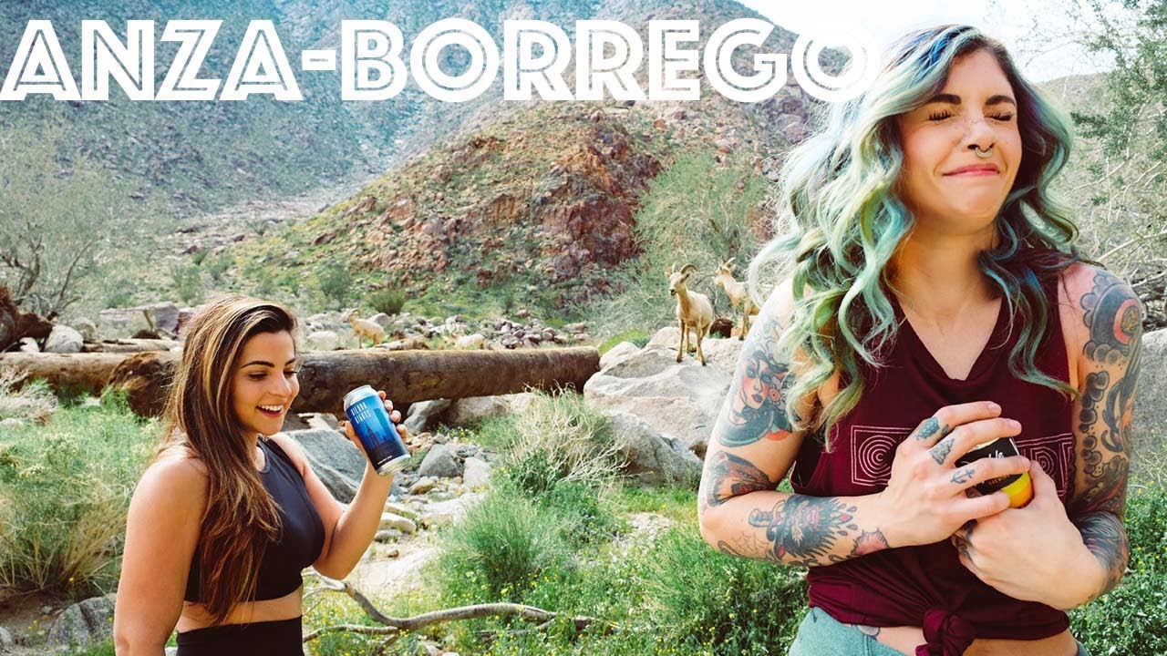Hiking for Beer with IsBeerACarb  | Anza-Borrego Palm Canyon Trail & Alpine Beer Co | #Earnyourbeer