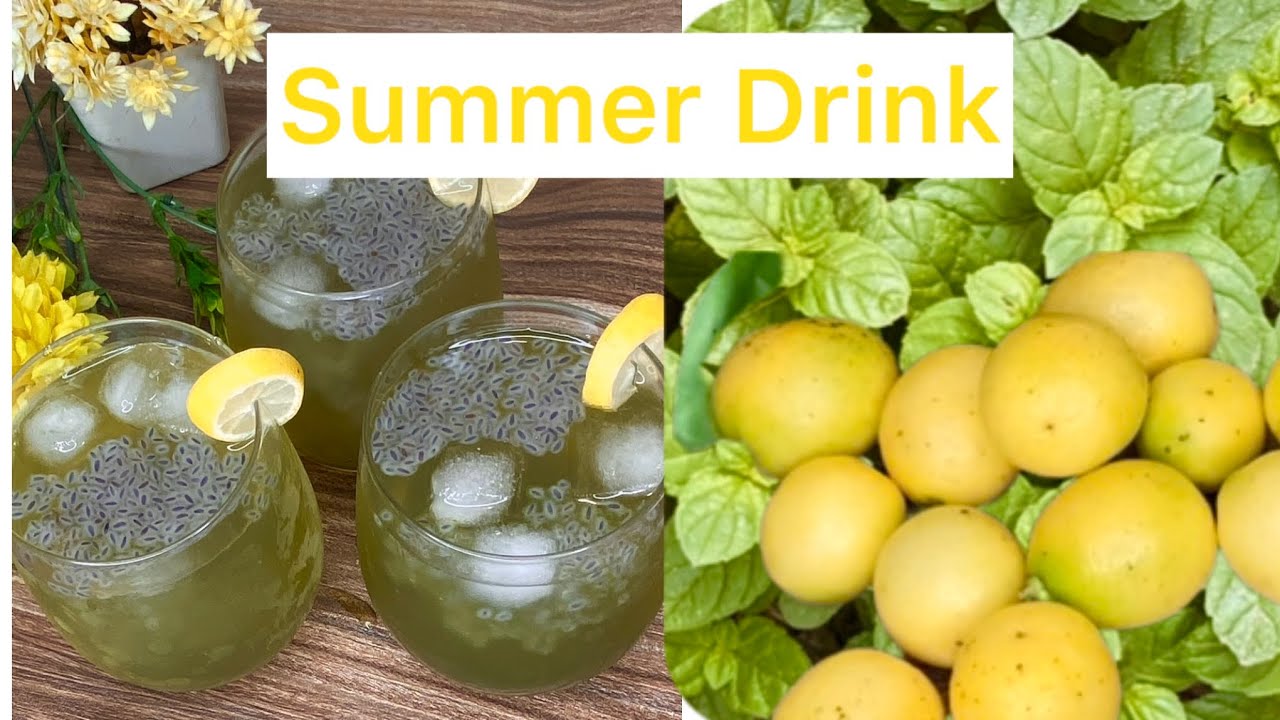 Refreshing Lemon Mint Drink Recipe / Mocktail Recipe / Nimbu Pudina Sharbat / The Cutting Board