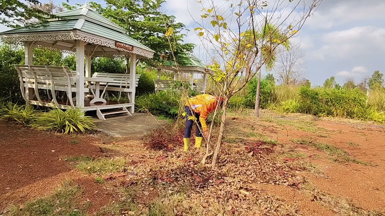 มาพัฒนาศาลาบวช