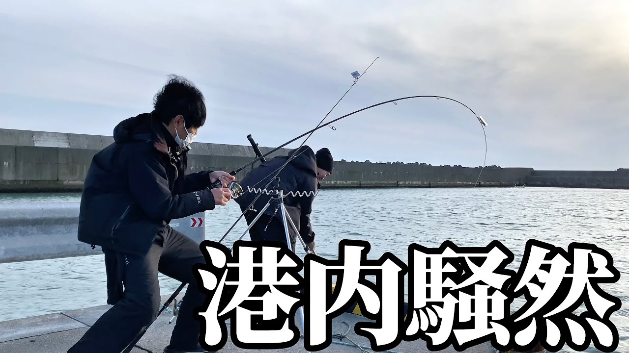 【北海道】【釣り】必見！釣りならキラーが大爆発‼️開発秘話も！港内激震！！重量級連発‼️