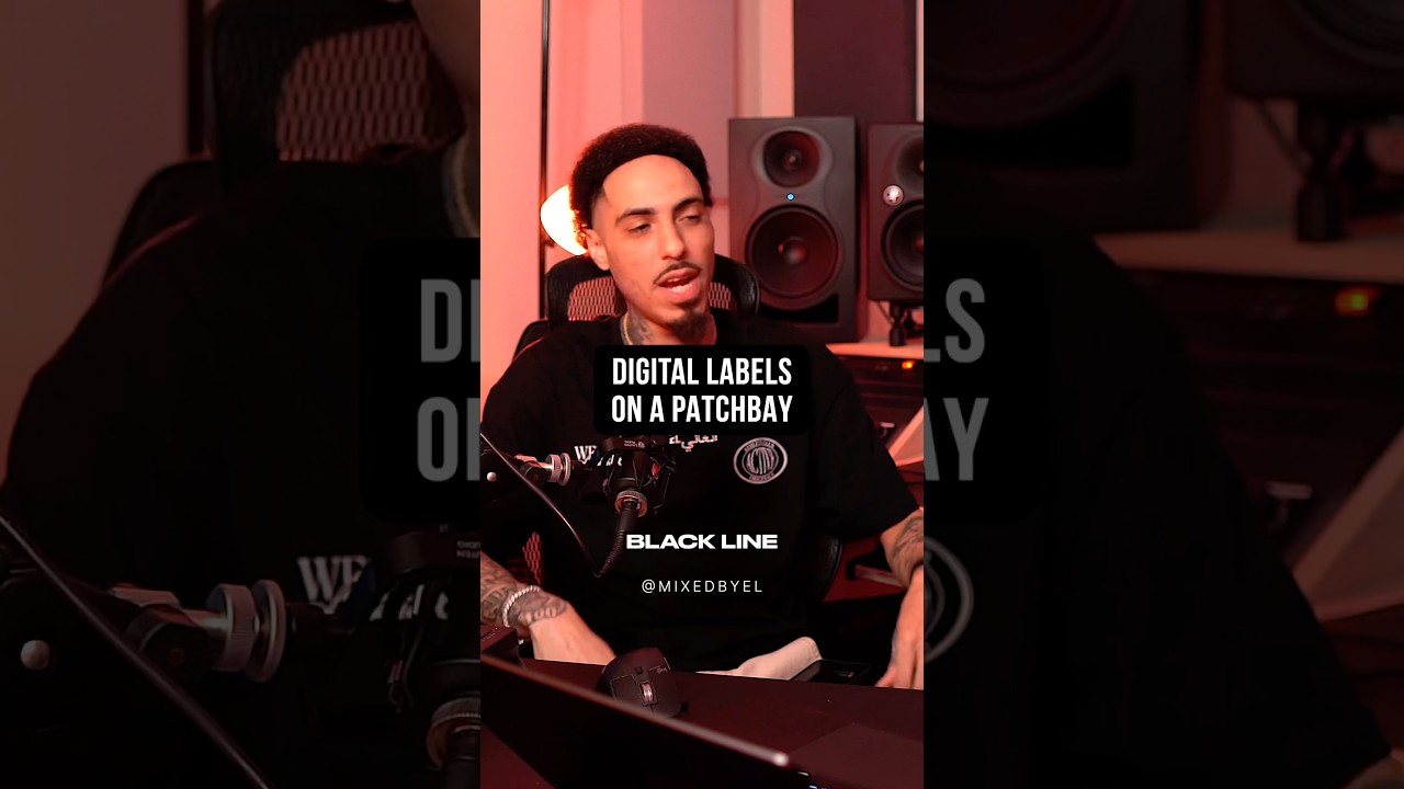 Digital Labels On A Patchbay | Black Lion Audio