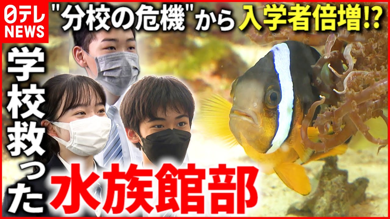 【入学者倍増】高校の