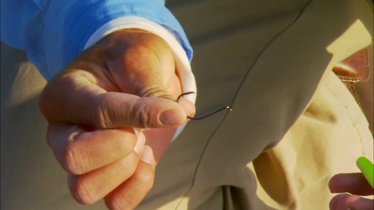 Zman FIshing: Fluttering ZinkerZ