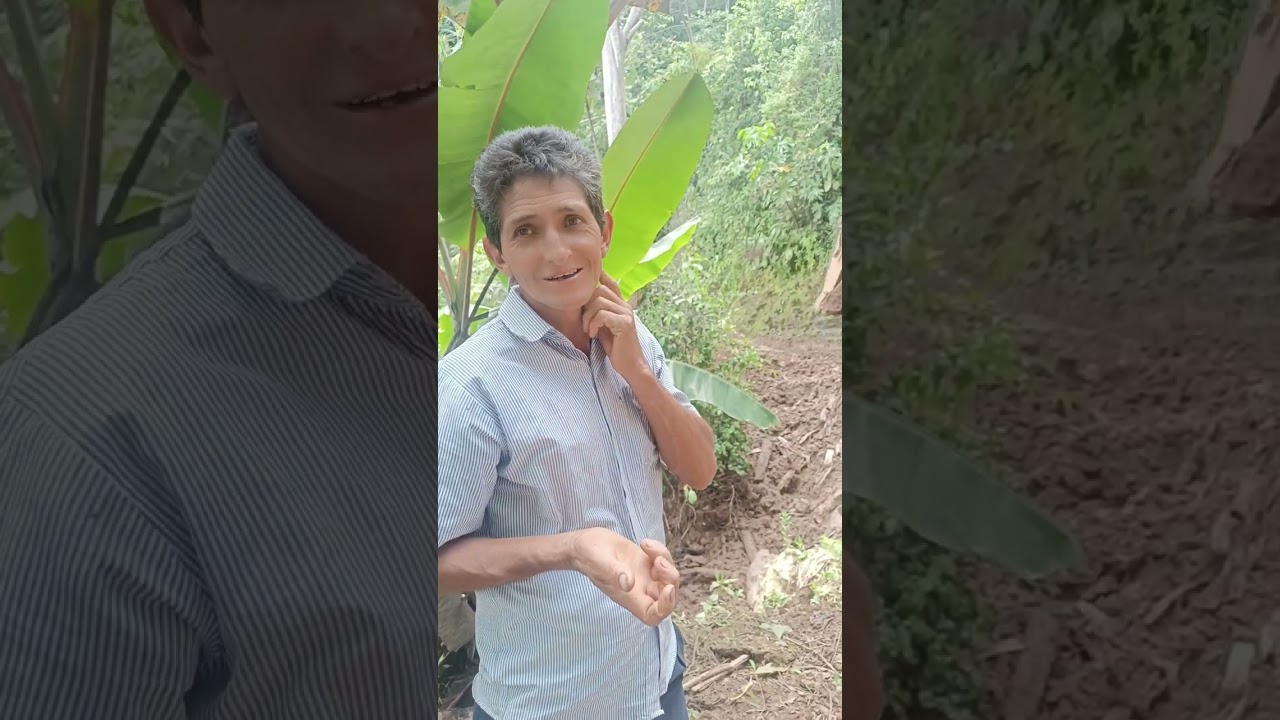 29 de enero de 2026