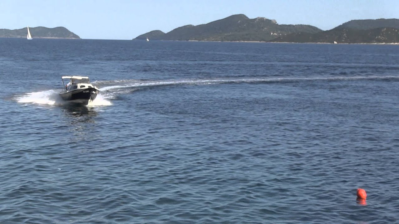 Arta Vela R