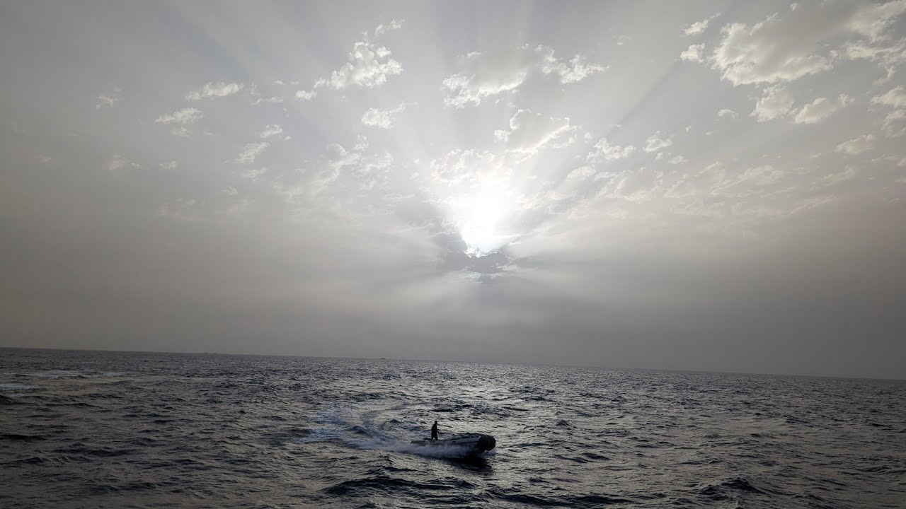 Dive Safari Seawolf Dominator St. Johns Egypt Red Sea