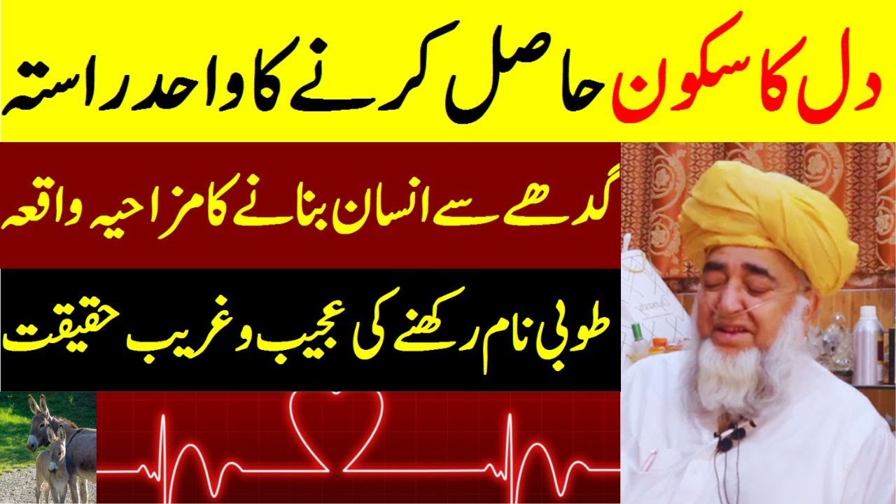 Only way to find peace of mind | Depression ka Ilaj | Mufti Zarwali Khan Official
