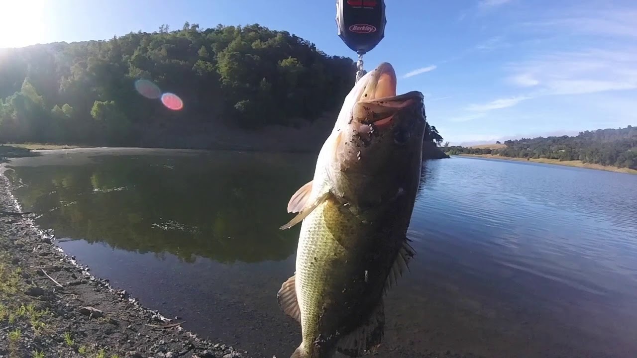 Bass fishing Coyote lake with a Gillroid jr