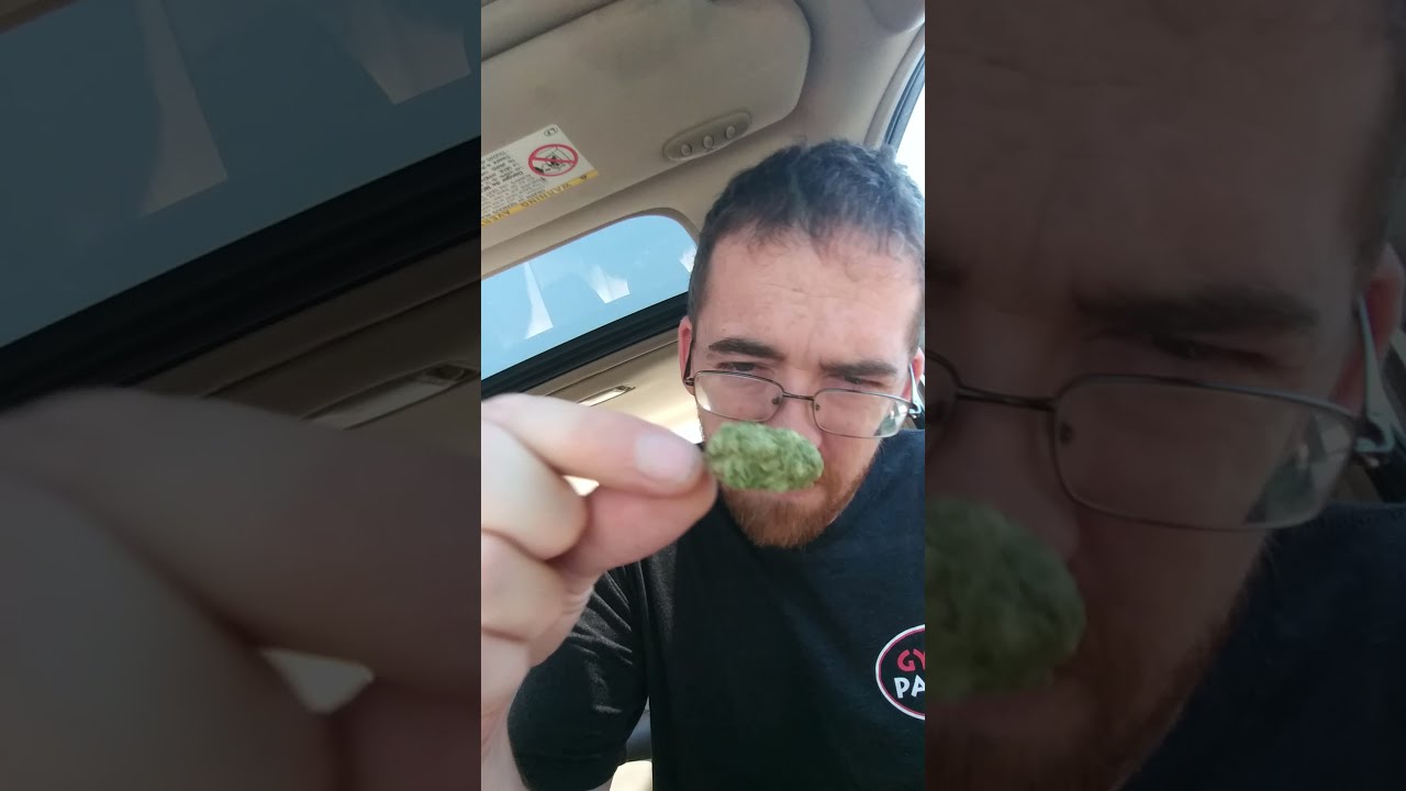AK 1995 strain review