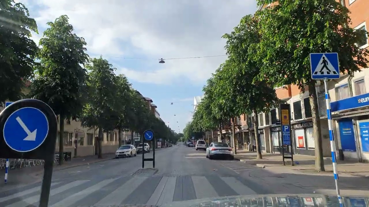 🇸🇪 Nationaldagen 2024 Borås Tjohooo 🇸🇪
