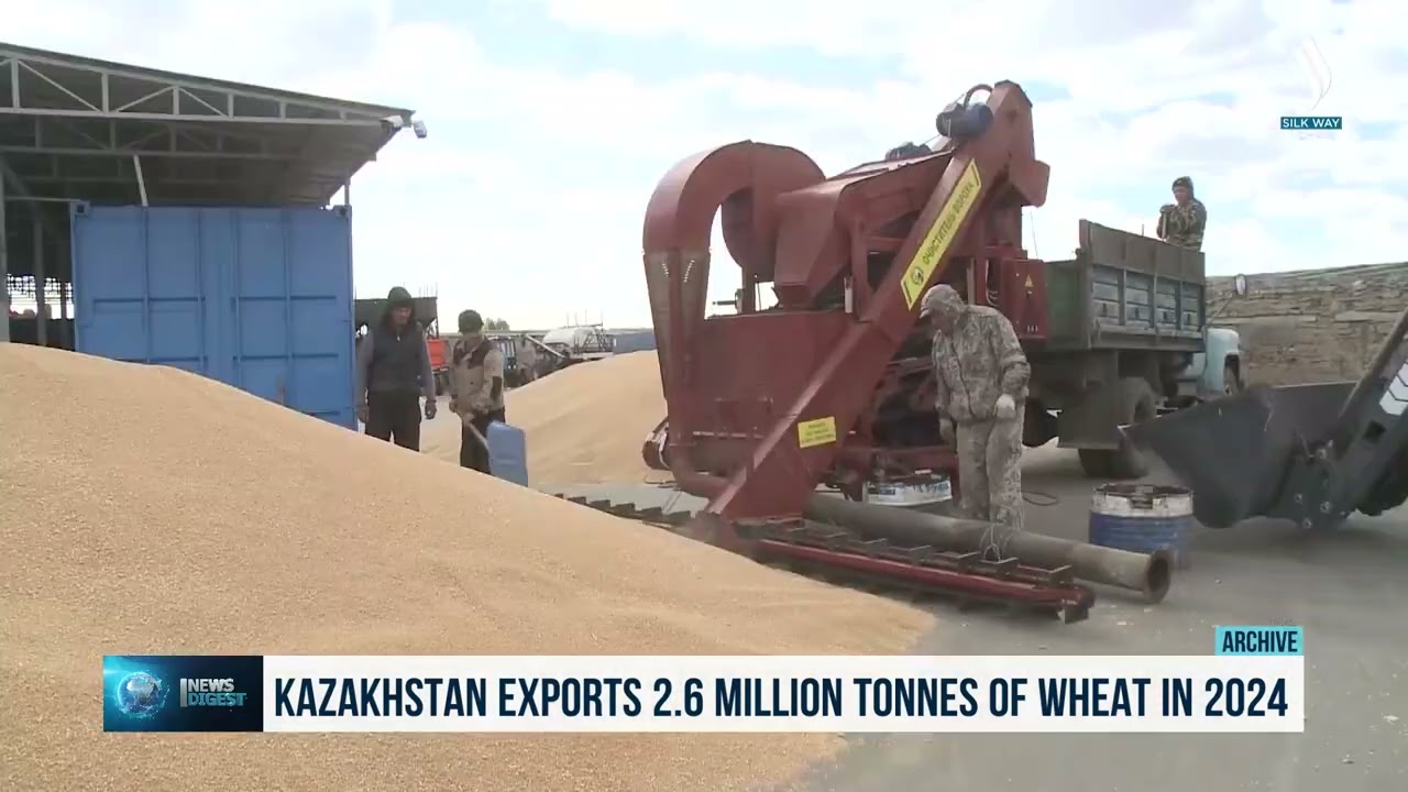 Kazakhstan exports 2.6 million tonnes of wheat in 2024