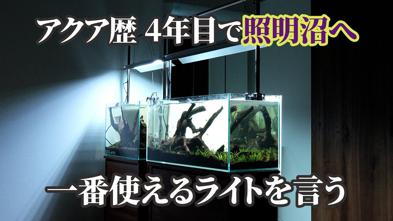 水草水槽に最も使える照明は？ 散財してきたアクア歴4年目の沼男が、照明遍歴を語ります