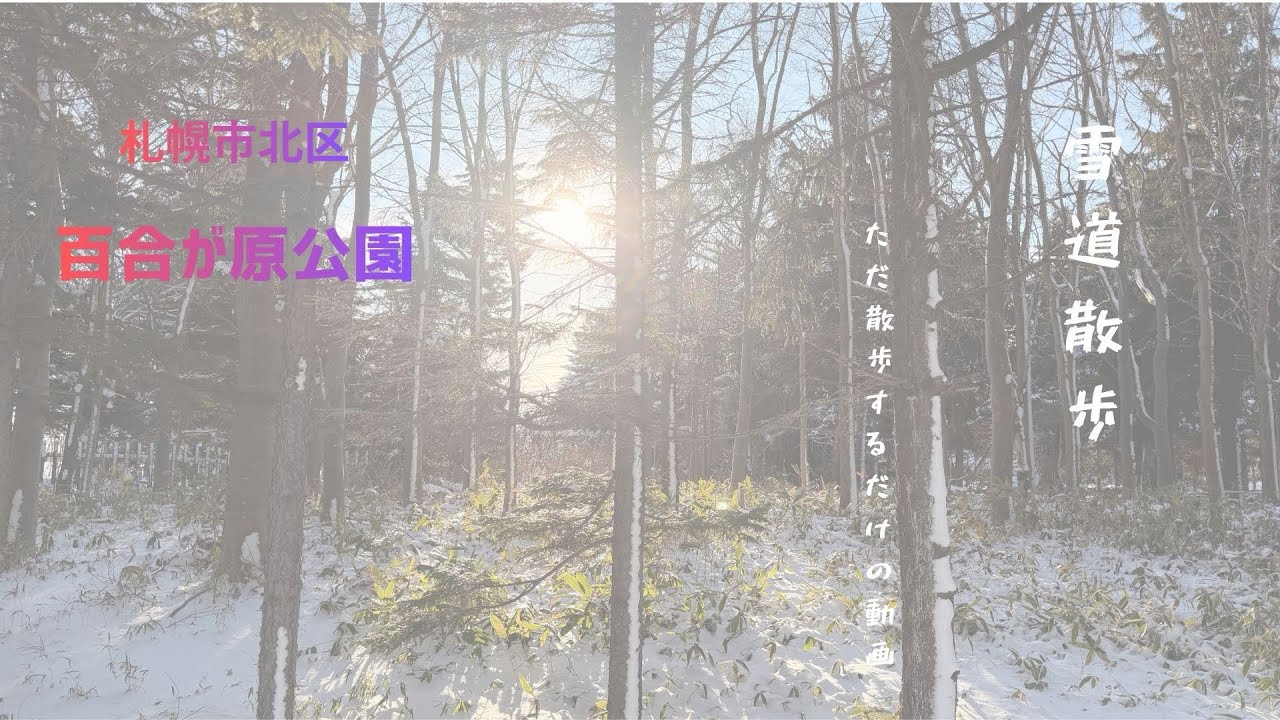 新雪の百合が原公園を歩く12分〜音の少ない冬の散歩〜