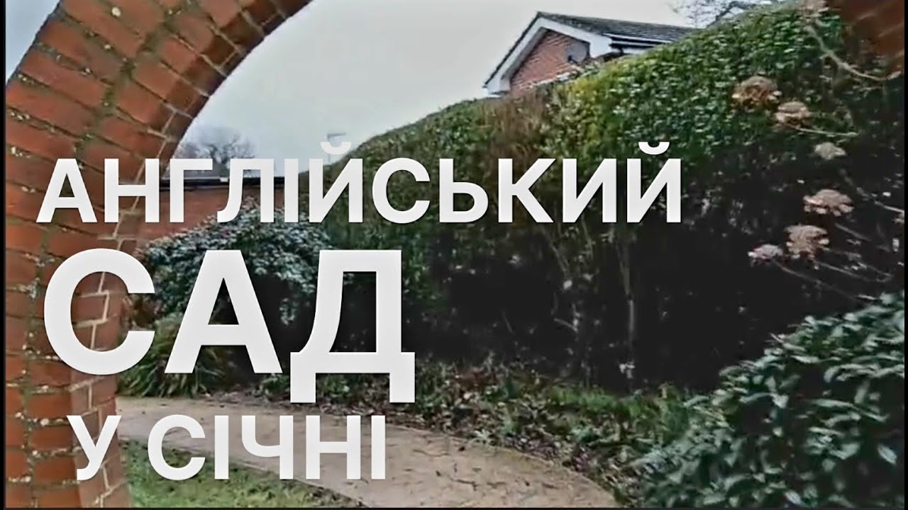 ПРОГУЛЯНКА Англійським Садом у січні | The Dawber Garden