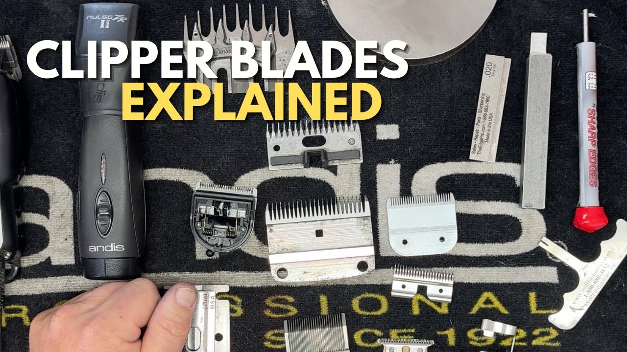 Different Styles of Clipper Blades (Basics)