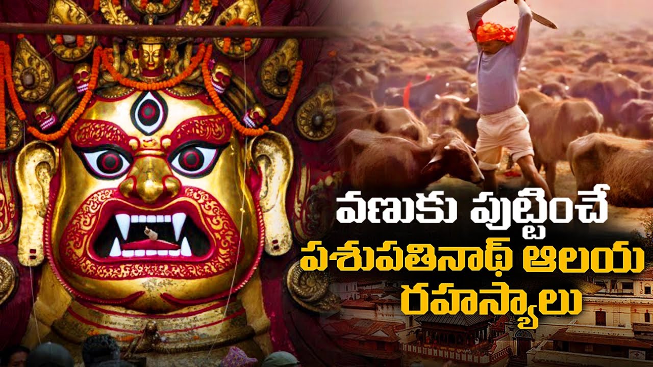 వణుకు పుట్టించే పశుపతినాథ్ ఆలయ రహస్యాలు | Untold Secrets Of Nepal's Pahupatinath Mandir |FN-20Telugu