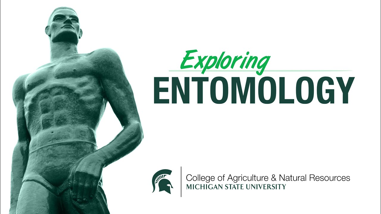 Entomology