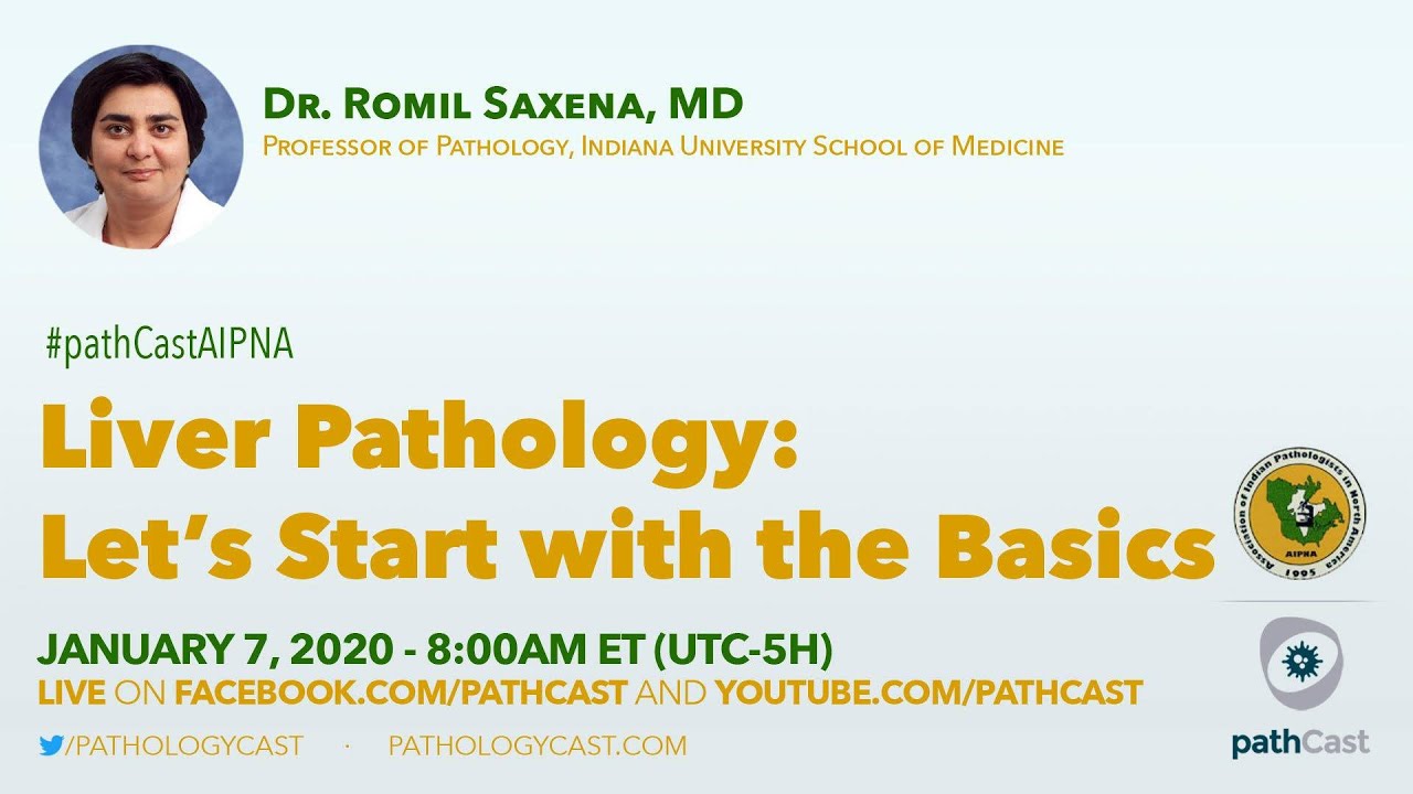 Liver pathology: let's start with the basics - Dr. Saxena (Indiana) #LIVERPATH
