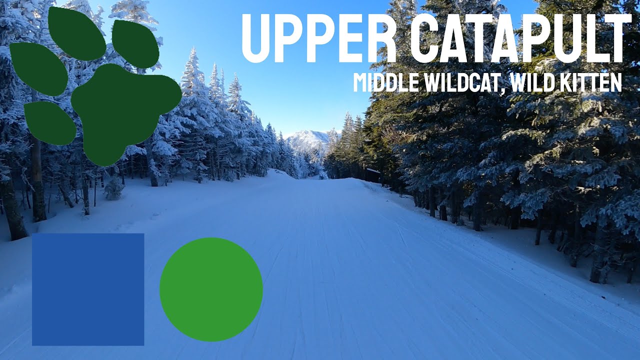 Wildcat Mountain - Upper Catapult, Wild Kitten