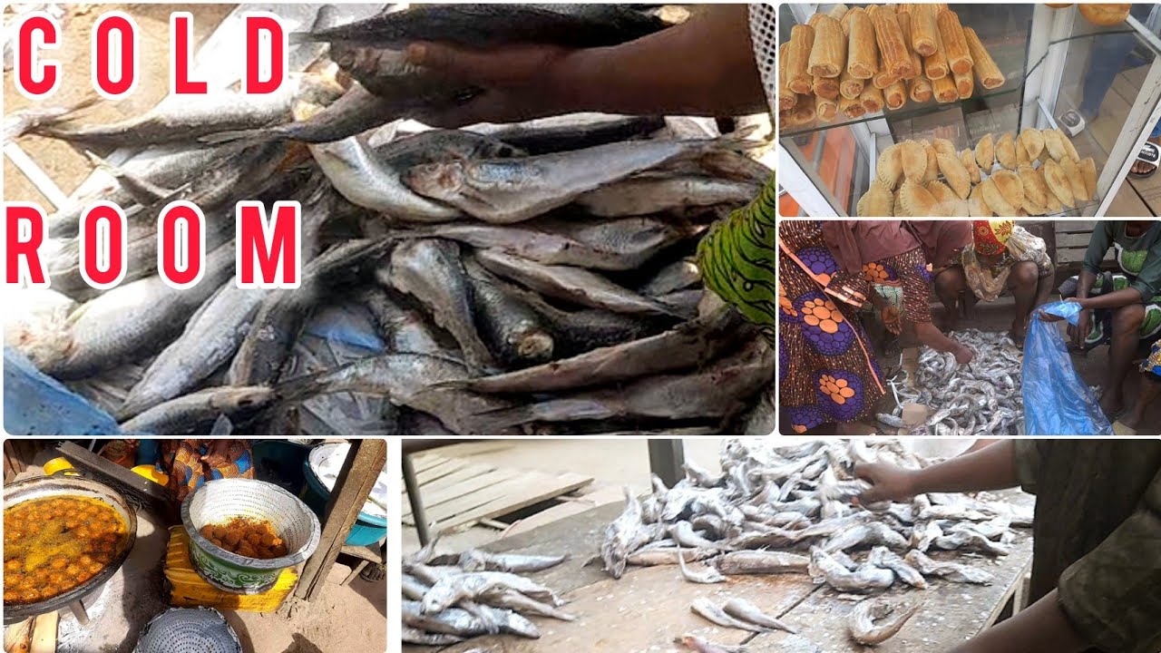 Price of Panla Fish from Cold Room ||  Vlogmas Day 13 / How to identify Fresh Frozen Fish