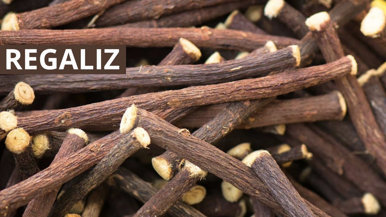 ¿Qué es el REGALIZ? Propiedades y beneficios del Regaliz