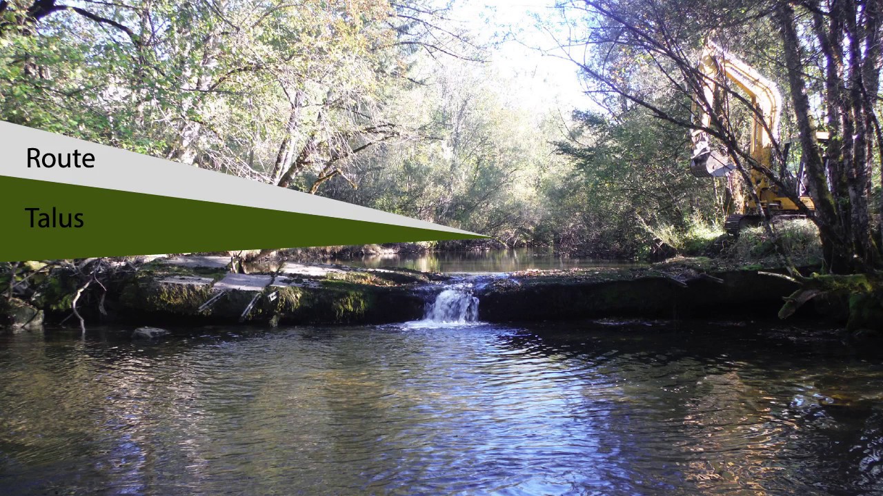 Travaux de restauration sur la Saine, la Chevry (Foncine-le-Haut- 2017)