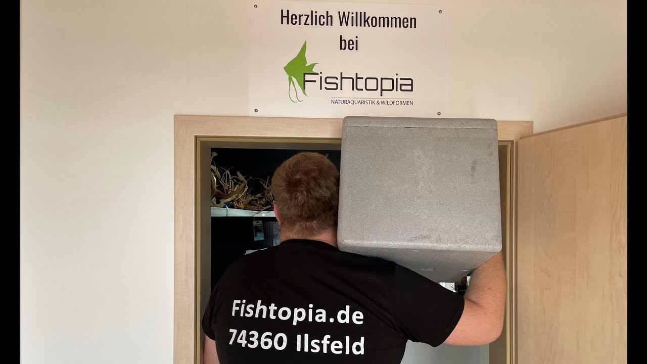 Fishtopia Fish Unboxing -3-