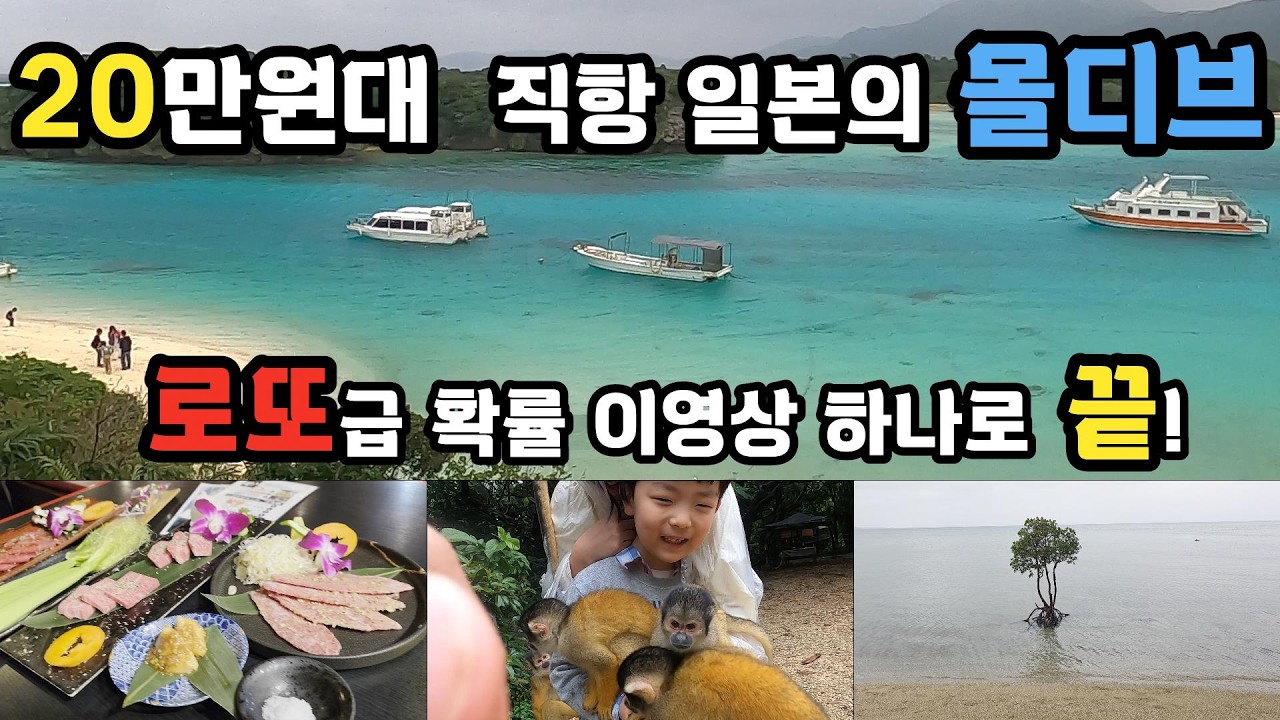20 만원 대  2시간 30분 일본 몰디브 여행 완벽 정리  오키나와 이시가키