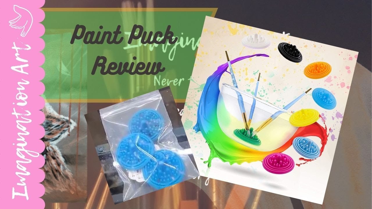 Paint Puck Review