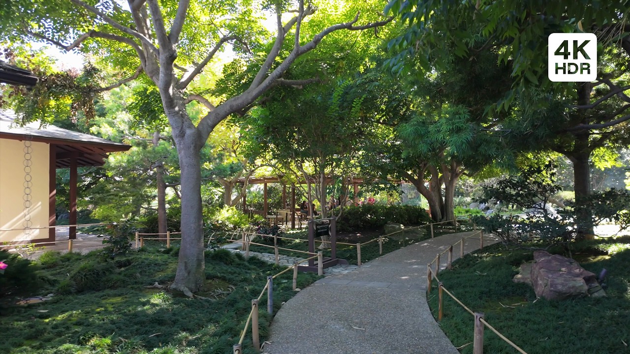 🇺🇸 San Diego Japanese Friendship Garden Walking Tour · 4K HDR