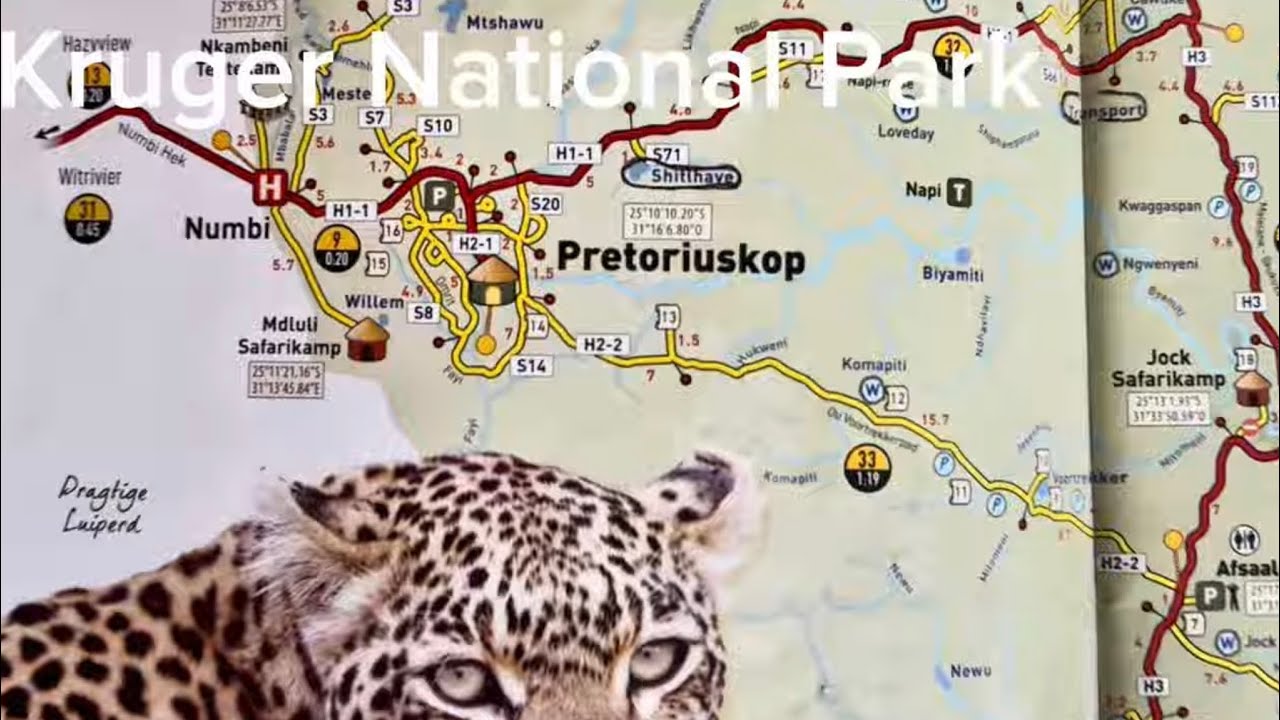 Kruger National Park- Pretoriuskop Rest Camp