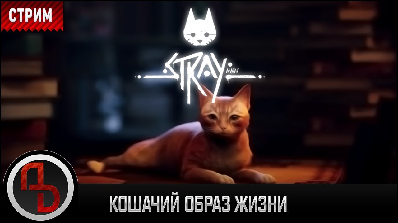 СТРИМ ◦ Stray #1 ◦ Прохождение