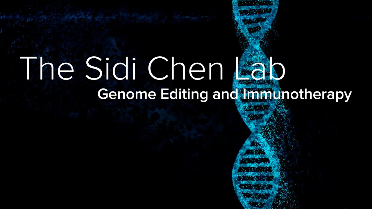 High-Throughput Screening, CRISPR & Immunotherapy - The Sidi Chen Lab at Yale School of Medicine