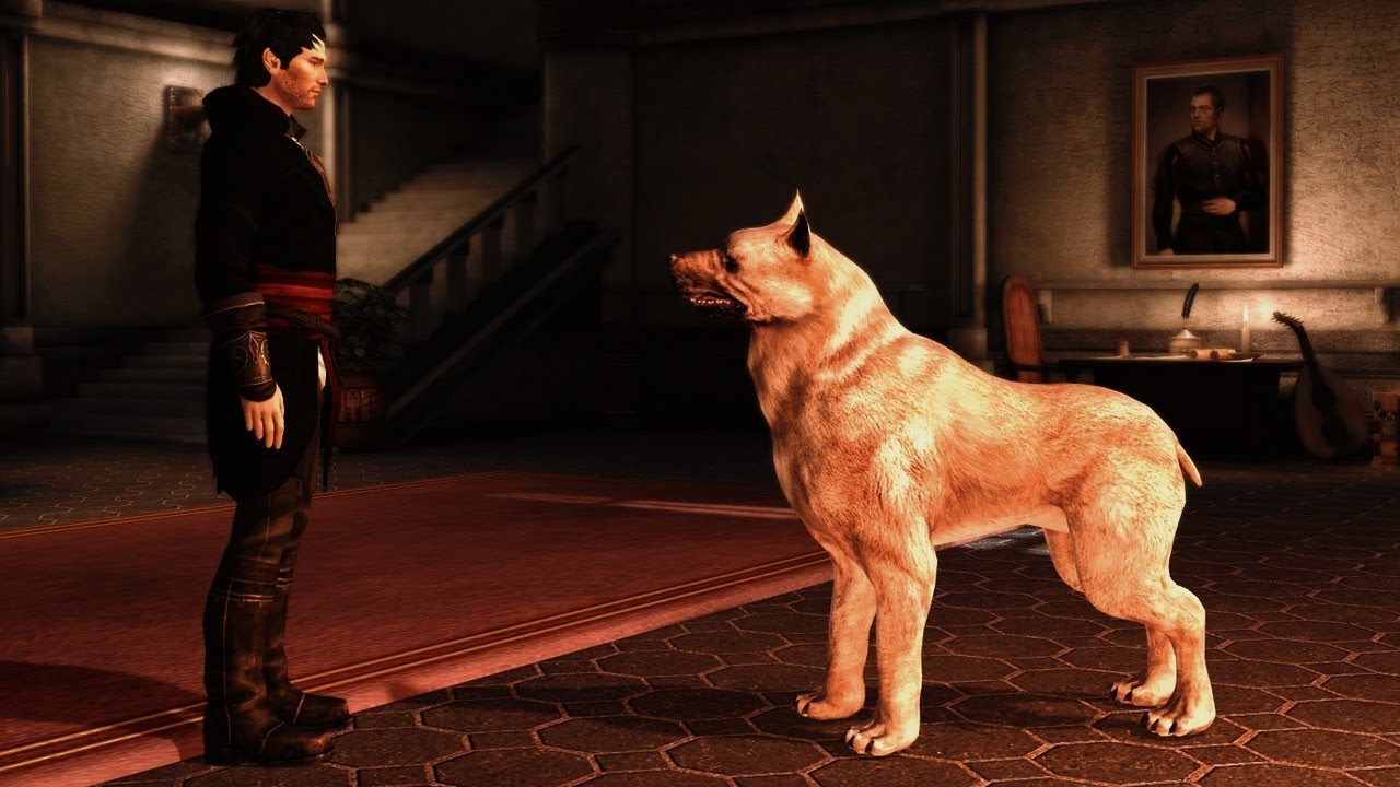 Dog (all scenes) | Dragon Age 2