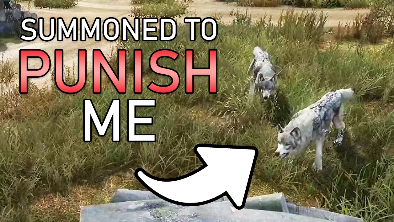This DayZ run went SO WELL the game HAD to grief me...