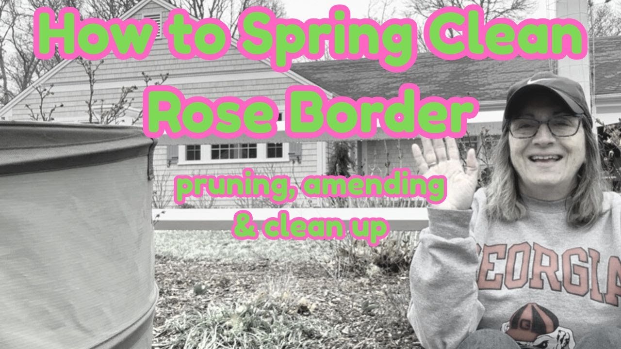 How To Spring Clean Rose Border 2025