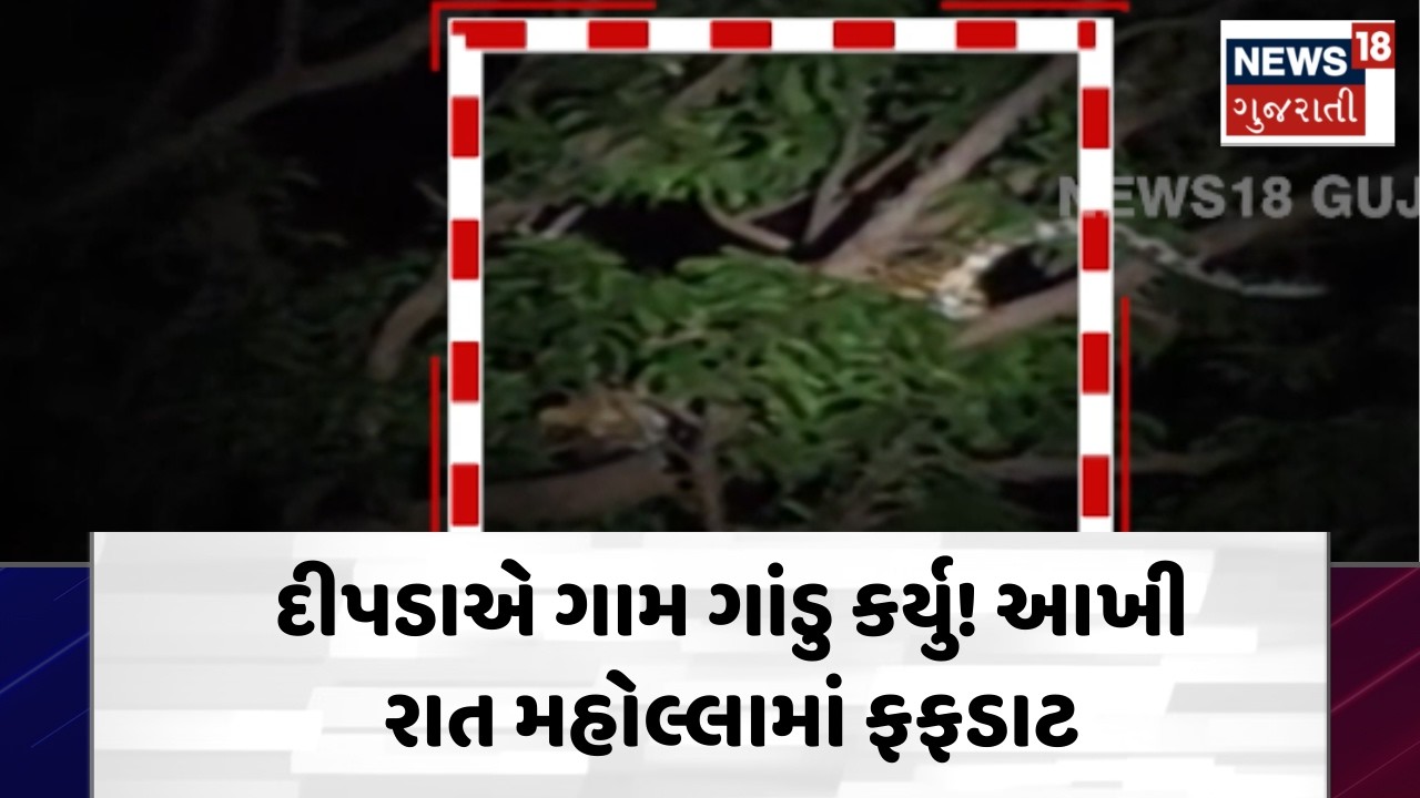 Surat Leopard News | દીપડાએ ગામ ગાંડુ કર્યુ! આખી રાત મહોલ્લામાં ફફડાટ | Residence | N18V