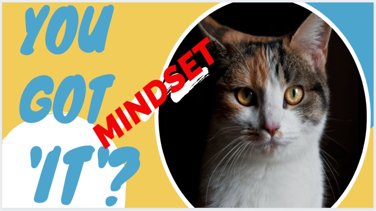 You Got 'IT' Part 2...DIGITAL Mindset