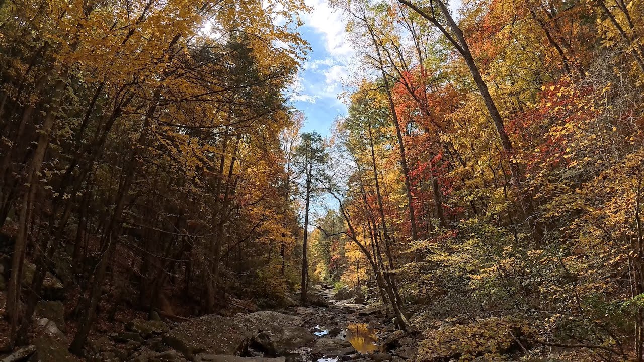 Best hiking trail near Chattanooga, Signal Mountain