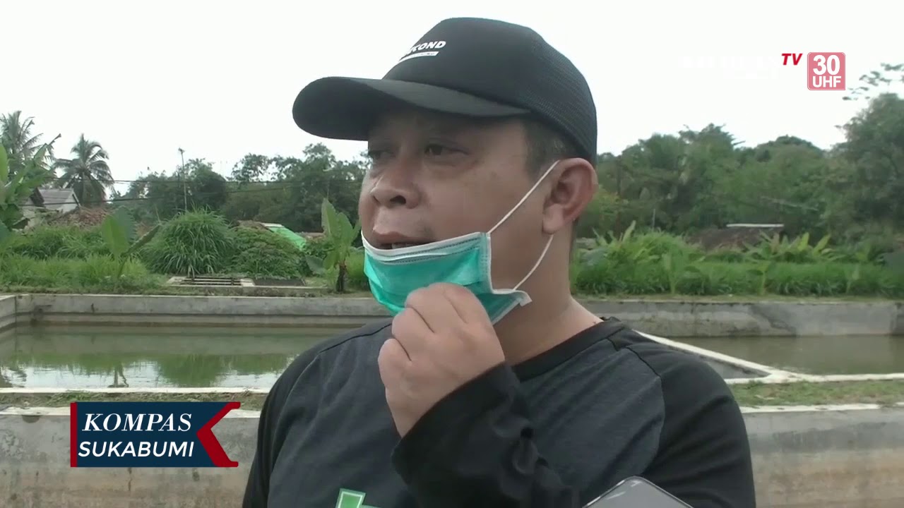 Pengembangan Budidaya Ikan Untuk Masyarakat