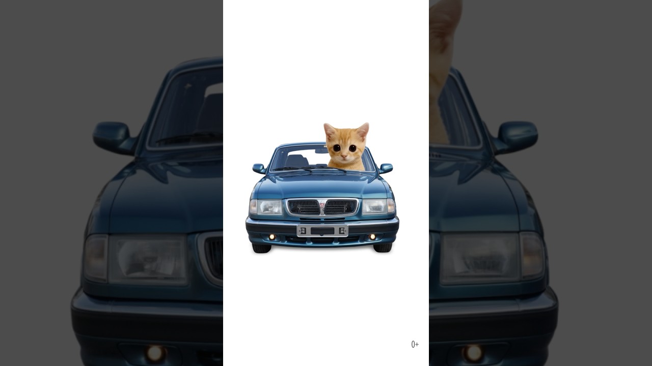 Киса покупает Волгу 3110🔥 #газ3110🚘Ищите автомобили с пробегом на Авто.ру. Ссылка в био.