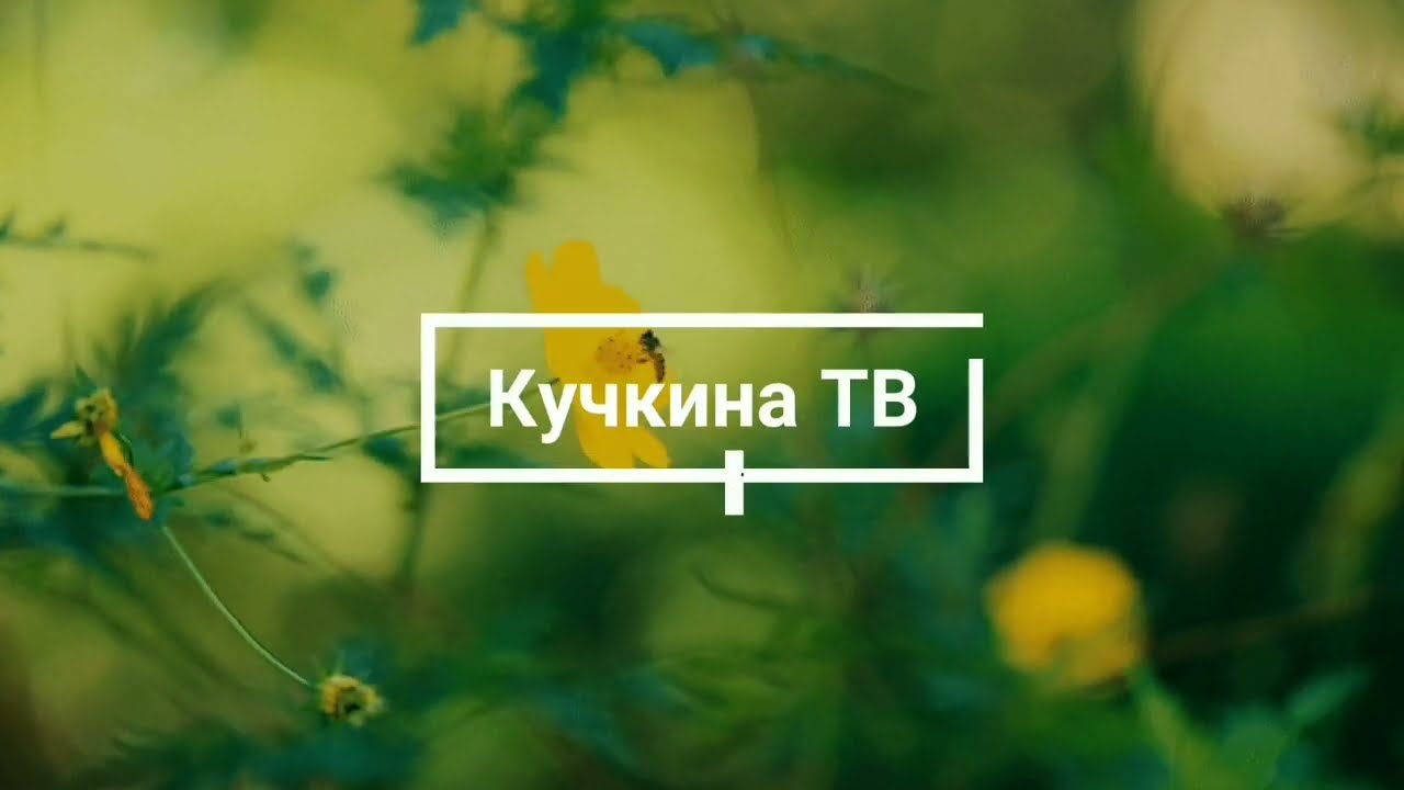 Кучкина ТВ #9 / Весна /