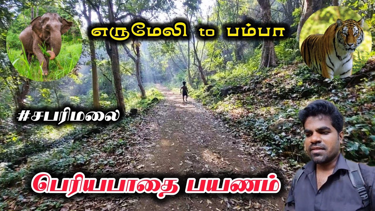 💥🙏🏼Sabarimala periya pathai 2025 yatra |😱 Erumeli to pamba |பெருவழி பயணம்| #சபரிமலை Traditional Rout